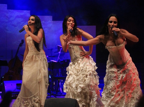 Landespresseball2011 121.jpg